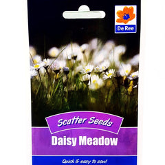 Daisy Meadow