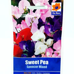 Sweet Pea Spencer Mixed