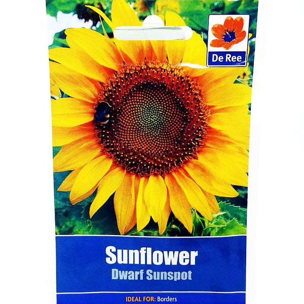 Sunflower Dwarf Sunspot