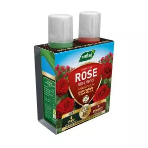 Rose Feed & Protect
