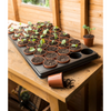 Grow it Growing Tray 40 pot