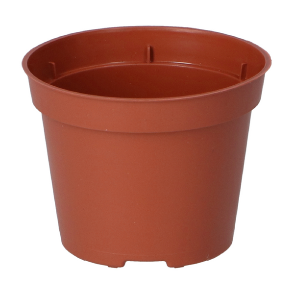 Plastic Plant Pot 6cm 30pcs