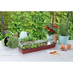 Sogo Greenhouse 30 pots