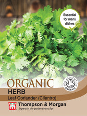 Herb Coriander (Organic)