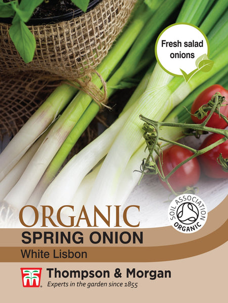 Spring Onion White Lisbon (Organic)