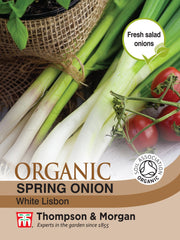 Spring Onion White Lisbon (Organic)