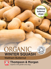 Squash Waltham Butternut (winter) (Organic)