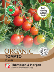Tomato Koralik (Organic)