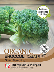 Broccoli Green Sprouting (Organic)