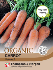 Carrot Nantes 2 (Organic)