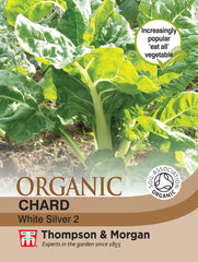 Chard White Silver 2 (Organic)