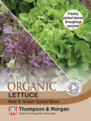 Lettuce Red & Green Salad Bowl (Organic)