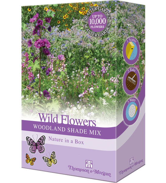 Wild Flowers Woodland Shade Mix