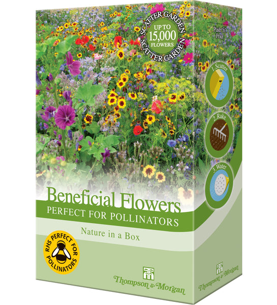 Beneficial Flowers Perfect for Pollinators Mix