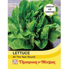 Lettuce All Year Round - Hardy