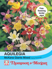 Aquilegia McKana Giant Hybrids Mixed