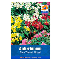 Antirrhinum Tom Thumb Mixed