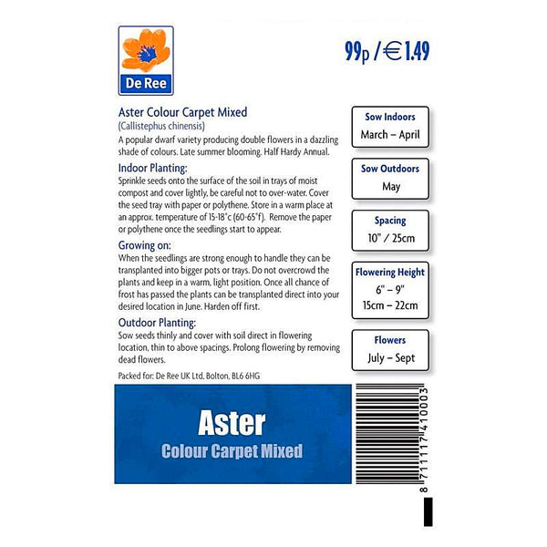 Aster Colour Carpet Mixed