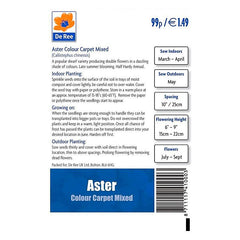 Aster Colour Carpet Mixed