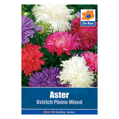 De Ree Aster Ostrich Plume Mixed