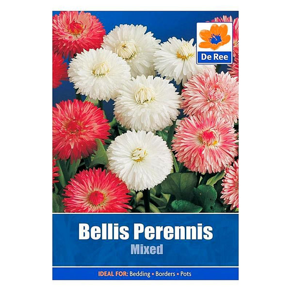 De Ree Bellis Perennis Mixed