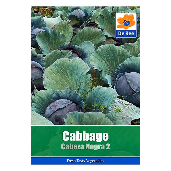 De Ree Cabbage Cabeza Negra 2