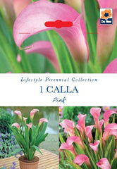 Calla Pink