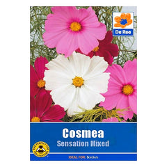 Cosmea Sensation Mixed
