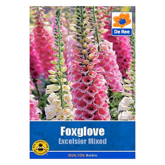Foxglove Excelsior Mixed