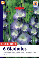 Gladioli Nori