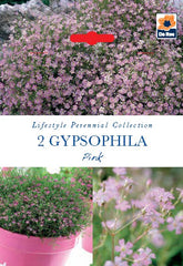 Gypsophila Pink