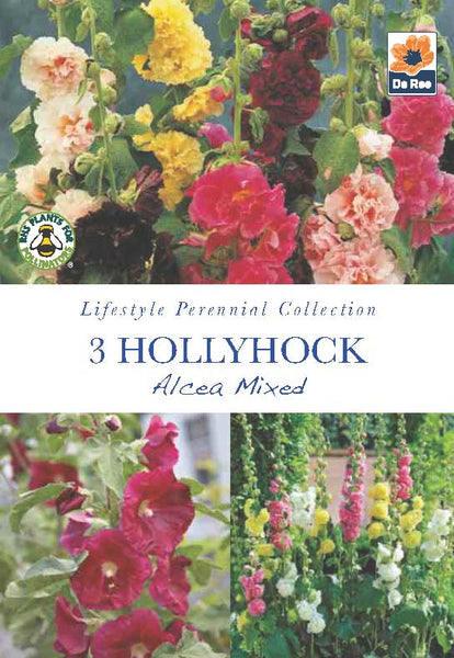 Hollyhock Alcea Mixed