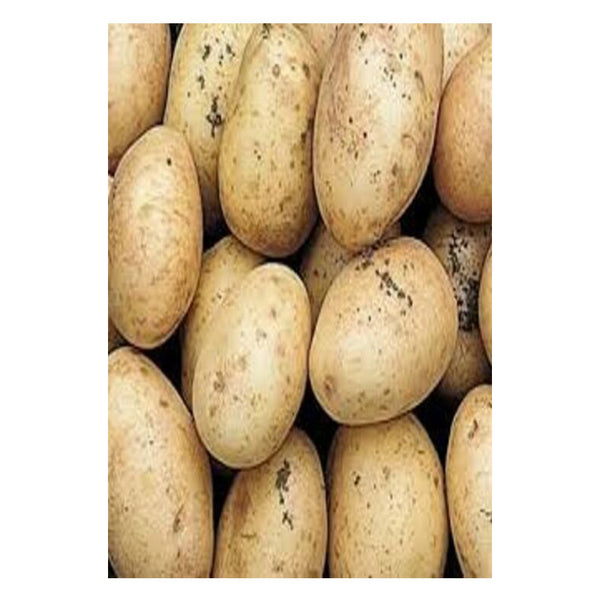 Potatoes - Home Guard First Earlies - 2Kg