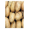 Potatoes - Home Guard First Earlies - 2Kg