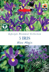 Iris Blue Magic