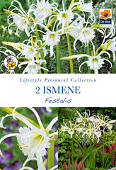 Ismene Festalis