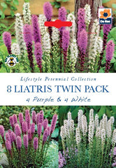 Liatris Twin Pack Purple & White