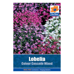 Lobelia Colour Cascade Mxed