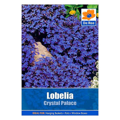 Lobelia Crystal Palace