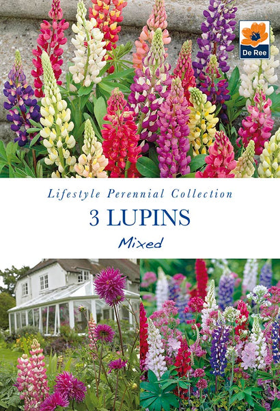 Lupins Mixed