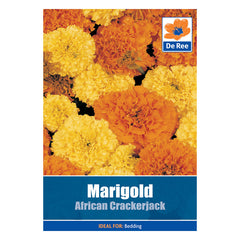 Marigold African Crackerjack