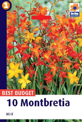 Montbretia Mixed