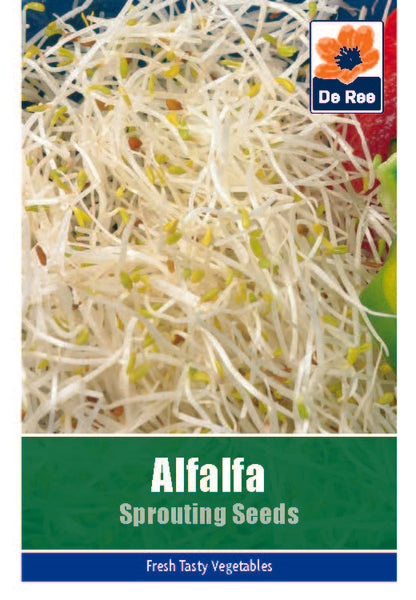 Alfalfa Sprouting Seeds