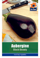 Aubergine Black Beauty