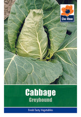 Cabbage Greyhound