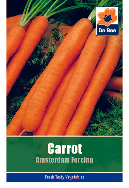 Carrot Amsterdam Forcing