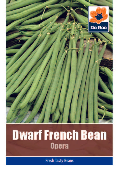 Dwarf French Bean Opera