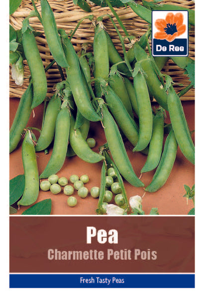 Pea Charmette Petit Pois