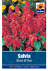 Salvia Blaze of Red