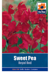 Sweet Pea Royal Red